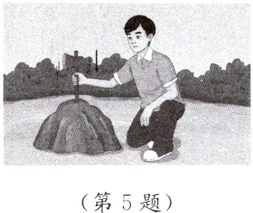 第5题