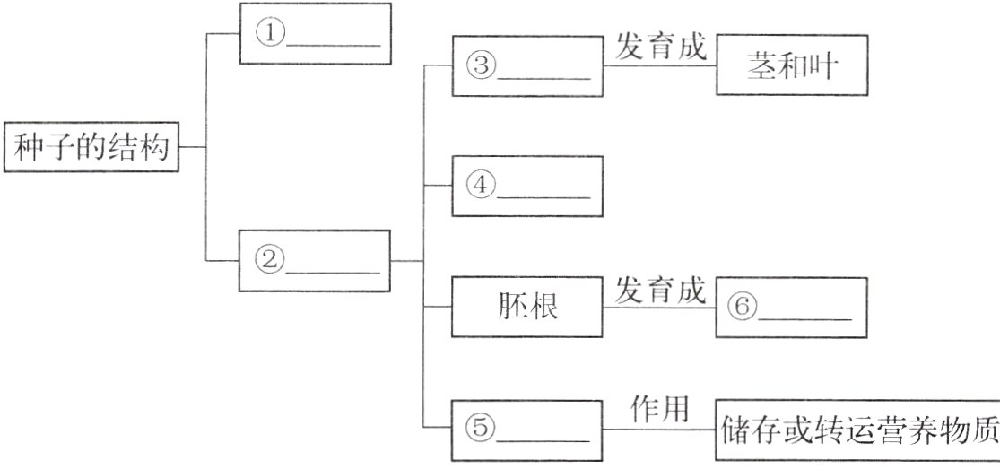 作用储存或转运营养物质