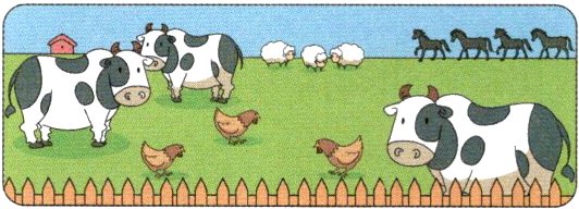 0000000000000000000000;