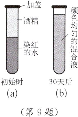 第9题