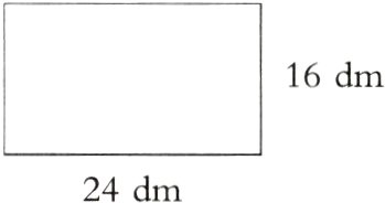 24dm