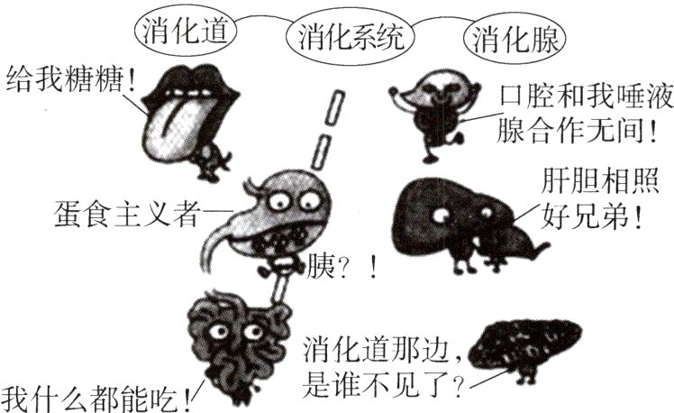 是谁不见了我什么都能吃