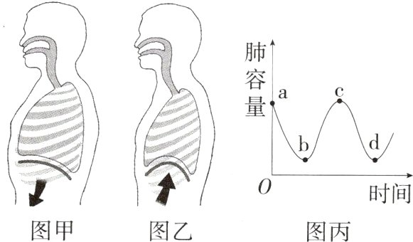 时间图甲图乙图丙