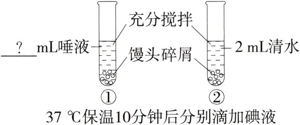 37保温10分钟后分别滴加碘液
