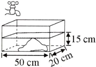 50cm20cm