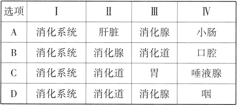 消化系统消化道消化腺