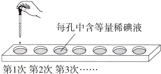 第1次第2次第3次