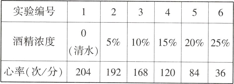 1921681208436心率次分204