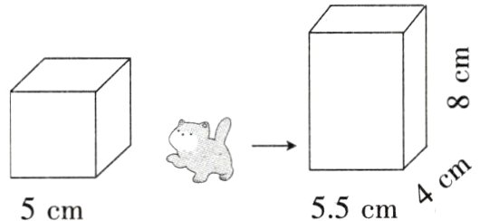 4cm55cm5cm