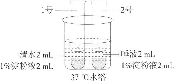 1淀粉液2mL1淀粉液2mL37水浴