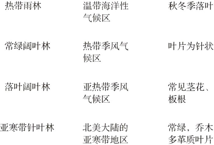 亚寒带针叶林北美大陆的常绿 乔木亚寒带地区多革质叶片