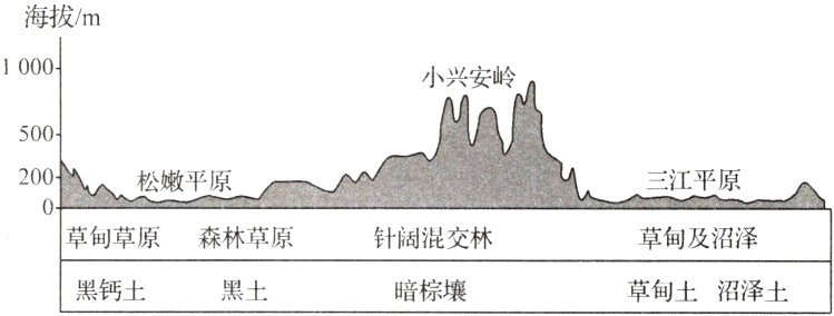 黑钙土黑土暗棕壤草甸土沼泽土