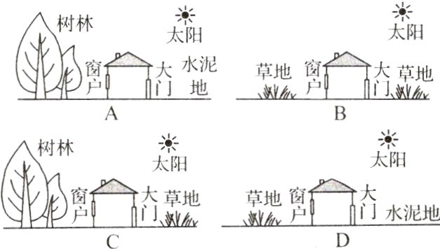 地窗杏水泥地大地