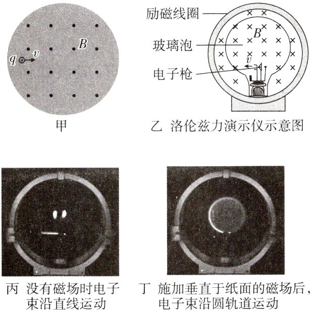 丙没有磁场时电子丁施加垂直于纸面的磁场后束沿直线运动电子束沿圆轨道运动