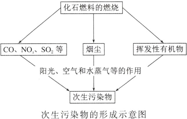 次生污染物的形成示意图
