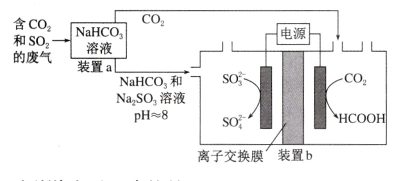 离子交换膜装置b