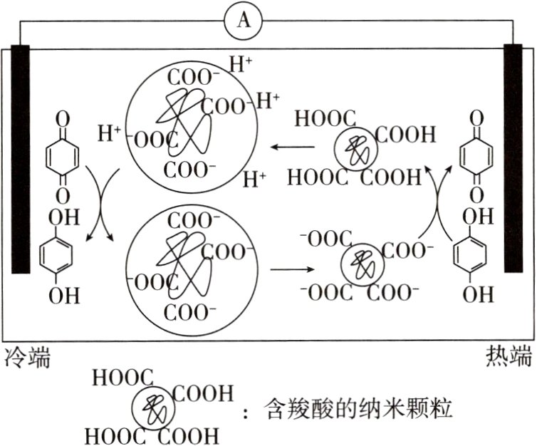 含羧酸的纳米颗粒HOOCCOOH