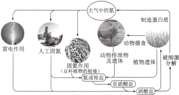 亚硝酸盐硝酸盐