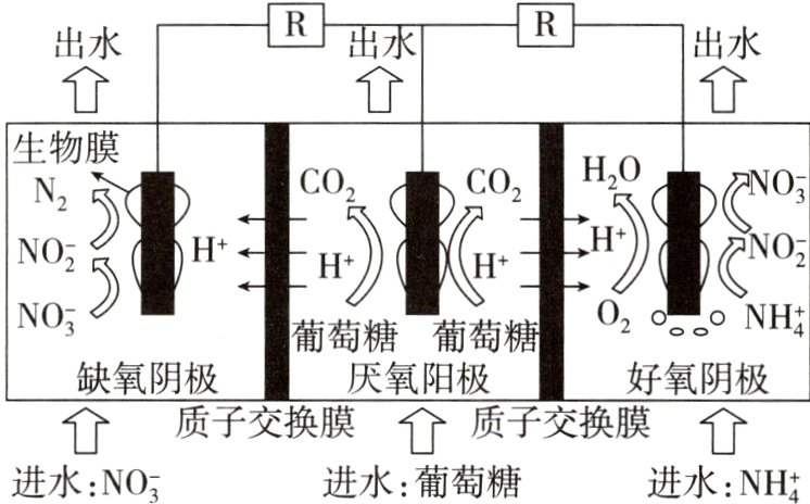 进水葡萄糖进水NO3进水NH