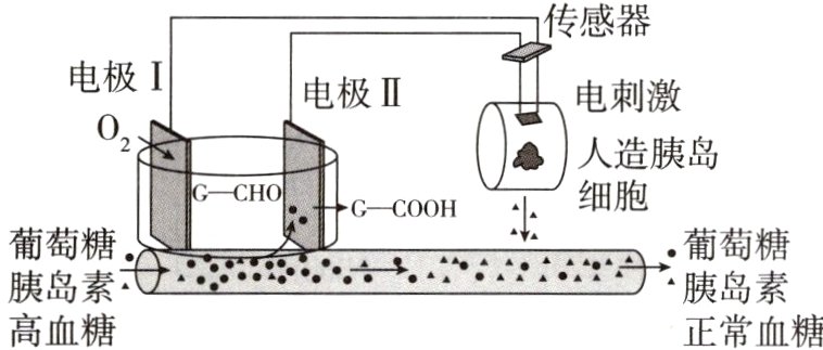 胰岛素9胰岛素高血糖正常血糖