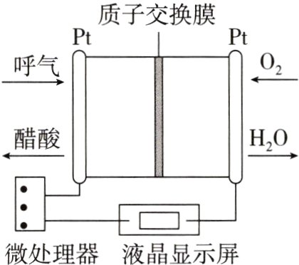 微处理器液晶显示屏