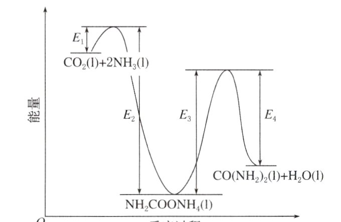NHCOONH1