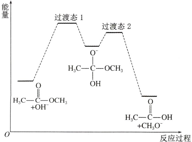 CHO反应过程