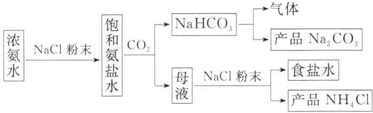 Nacl粉木食盐水产品NHCI