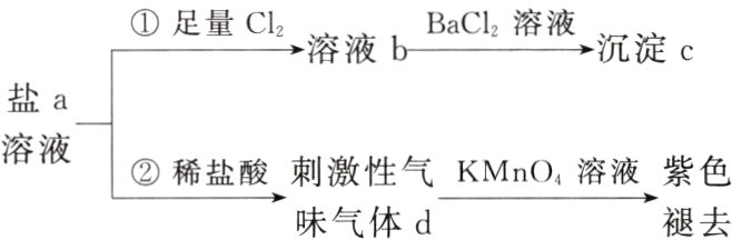 稀盐酸刺激性气KMnO4溶液紫色褪去味气体d
