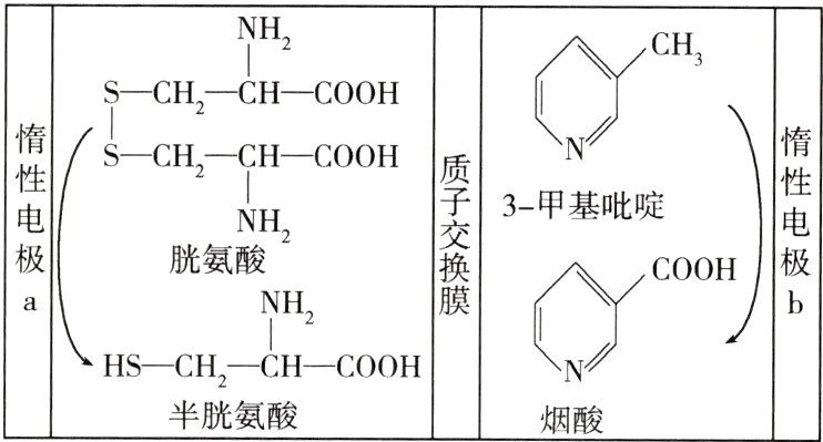 HSCHCHCOOH半胱氨酸烟酸