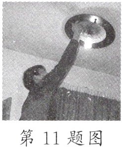 第11题图