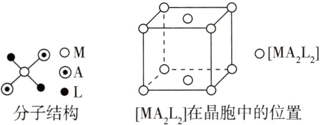 L分子结构MAL在晶胞中的位置