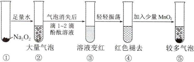 大量气泡溶液变红红色褪去较多气泡