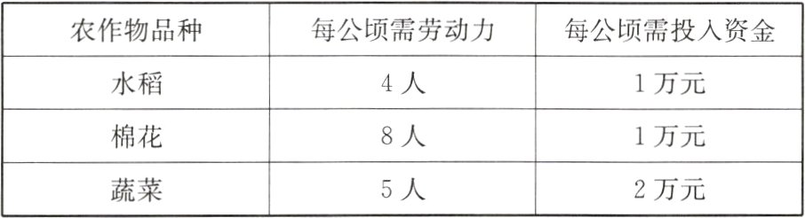 5人蔬菜2万元