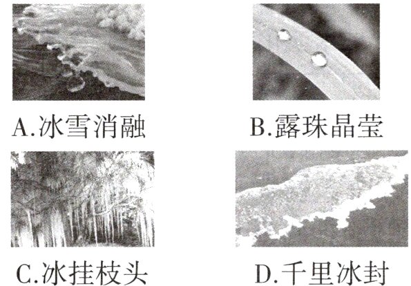 C冰挂枝头D千里冰封