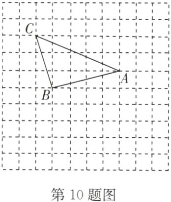 第 10 题图