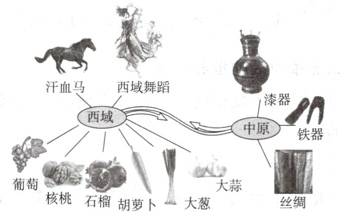 大蒜核桃石榴胡萝卜大葱丝绸