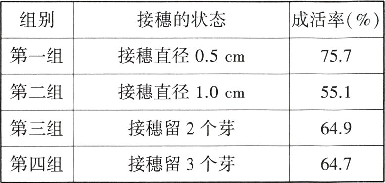 接穗留3个芽第四组647