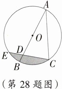 (第28题图)