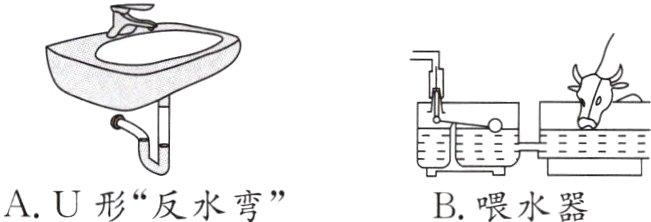 AU形反水弯B喂水器