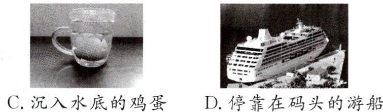 C沉入水底的鸡蛋D停靠在码头的游船