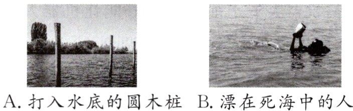 A打入水底的圆木桩B漂在死海中的人