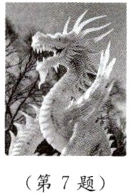 第7题