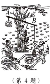 第4题