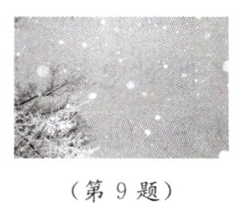 第9题