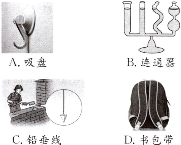C铅垂线D书包带