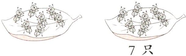 7只