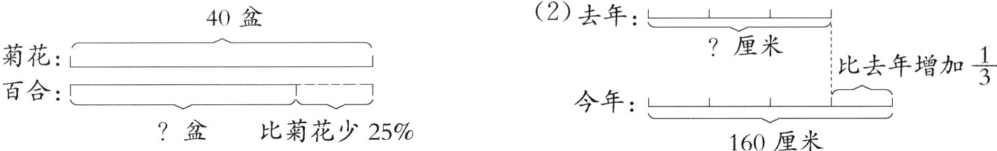 盆比菊花少25160厘米