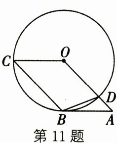 第11题