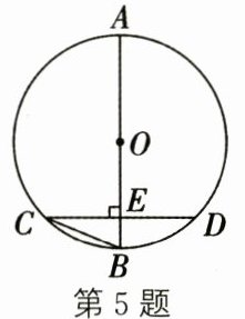 第5题